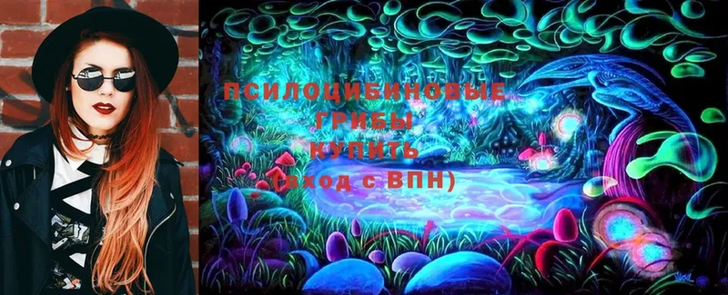 Галлюциногенные грибы MAGIC MUSHROOMS  ссылка на мегу как зайти  Владикавказ  купить наркотик 